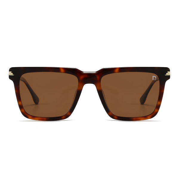 Dollger Square  Hipster Acetate Square Tinted Sunglasses